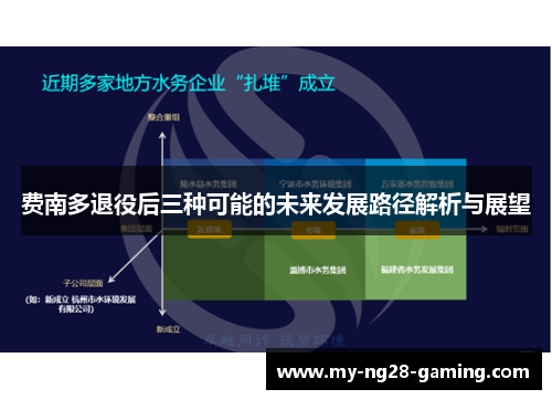 费南多退役后三种可能的未来发展路径解析与展望 费南多退役后三种可能的未来发展路径解析与展望