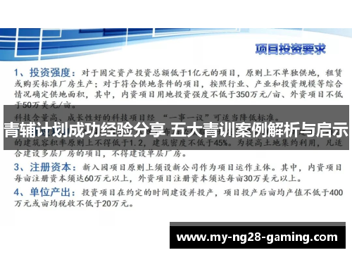 青辅计划成功经验分享 五大青训案例解析与启示