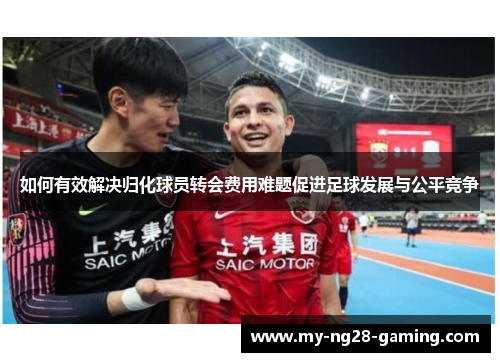 如何有效解决归化球员转会费用难题促进足球发展与公平竞争