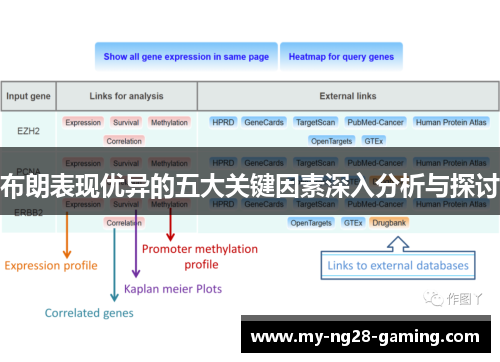 布朗表现优异的五大关键因素深入分析与探讨